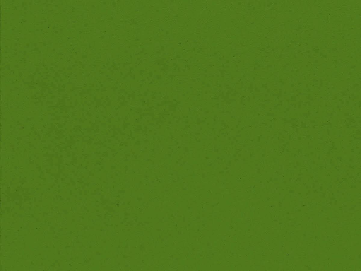 Dessin4182 spring-green