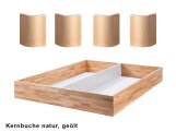 Hasena Sockel Practico-Ron Box 25 Fine-Line Anthracit Nussbaum ge&ouml;lt (85) 200 cm 200 cm